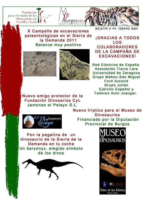 Fundacion Dinosaurios Cyl: Boletin informativo verano 2011