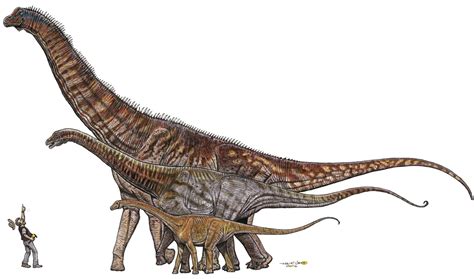 Fundacion Dinosaurios Cyl: Brasil descubre su propio ...