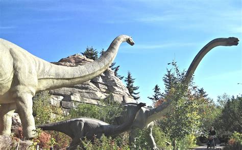 Fundacion Dinosaurios Cyl: ¿Crees que lo sabes todo sobre ...