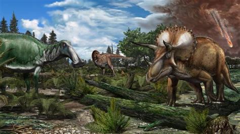 Fundacion Dinosaurios Cyl: ¿Cuántas especies de ...