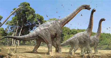 Fundacion Dinosaurios Cyl: Descubren nueva especie de ...