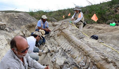 Fundacion Dinosaurios Cyl: INAH publica registro de fósiles encontrados ...