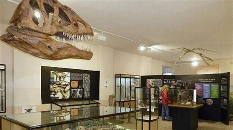 Fundacion Dinosaurios Cyl: La ampliación del Museo de Dinosaurios de ...