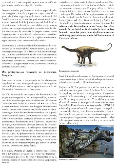 Fundacion Dinosaurios Cyl: mayo 2019