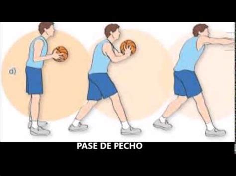 FUNDAMENTOS DEL BALONCESTO   YouTube