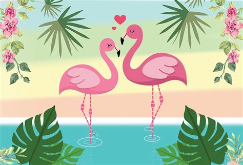 Fundo Fotográfico Tecido Flamingos Rosa 2,60m X 1,70m   R$ 165,00 em ...