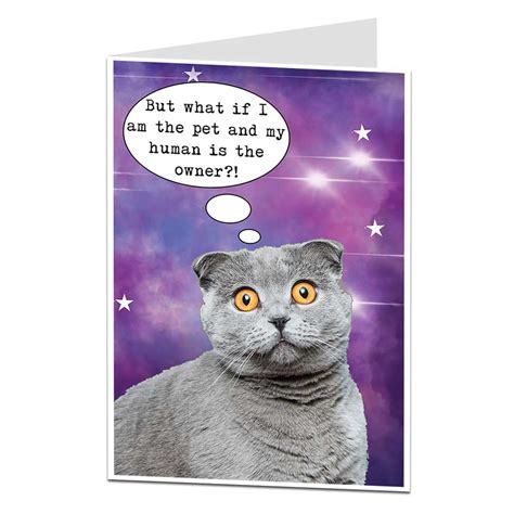 Funny Birthday Card Cat Pet Owner Lover For Men & Women ...