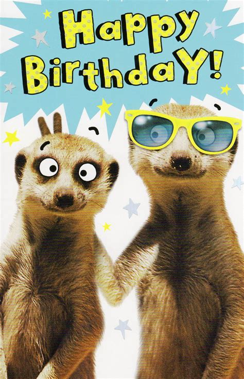 Funny Meerkat Happy Birthday Card Humour Greeting Cards ...