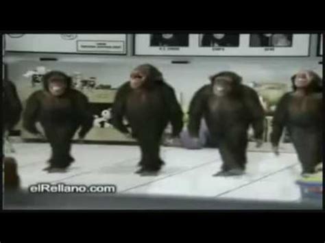 Funny Monkey Dance Broadway Version.   YouTube