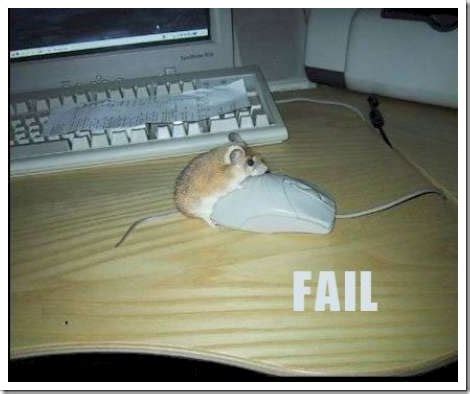 Funny photos: Funny Computer Mouse Humor Photos Collection