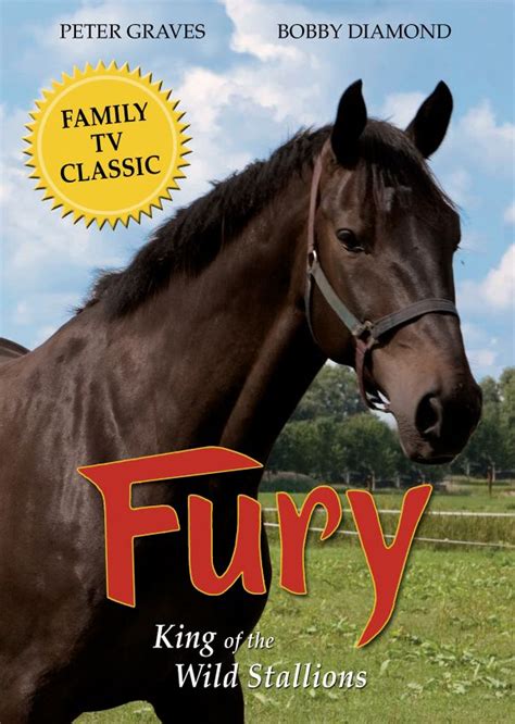 Fury DVD | Vision Video | Christian Videos, Movies, and DVDs