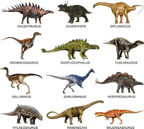 galería de dinosaurios | Dinosaurios, Animales prehistóricos ...