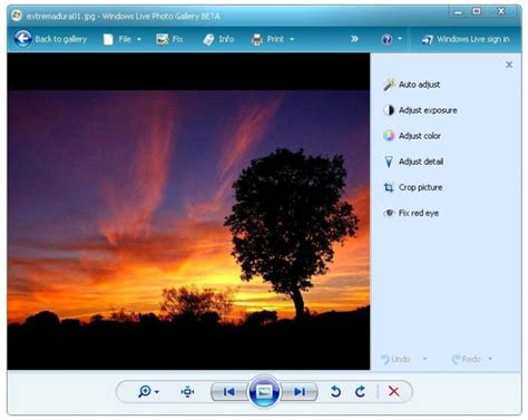 Galería Fotográfica de Windows Live 2012 Windows Descargar