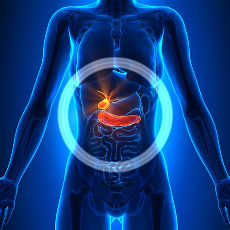 Gallbladder Pain Location  Picture    Feel Pain Relief