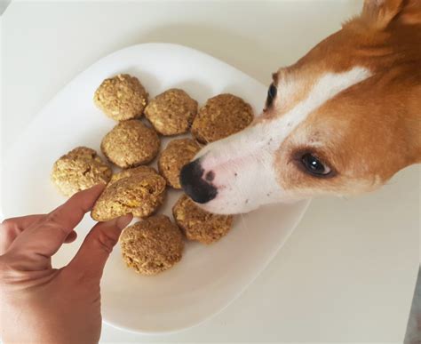 Galletas para perro de avena manzana y vainilla | Una bloguera en la cocina