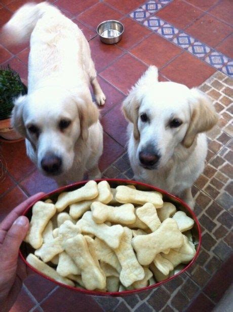 Galletas perrunas , comida para perros | Receta | Comida para perros ...