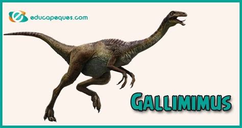 Gallimimus, el dinosaurio que recuerda a una gallina