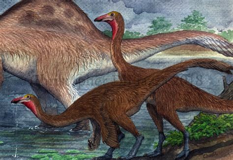 Gallimimus | Wiki Prehistorica | Fandom