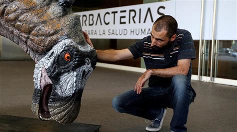 Gallina:   El dinosaurio que encontramos vivió hace 140 millones de ...