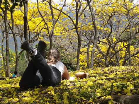 Ganadores del premio Mejor Fotografía en el concurso “Ayúdanos a ...