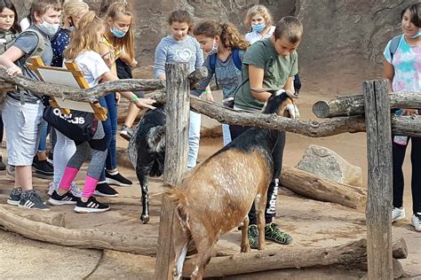 Ganze Schule im Leipziger Zoo | Sächsische.de
