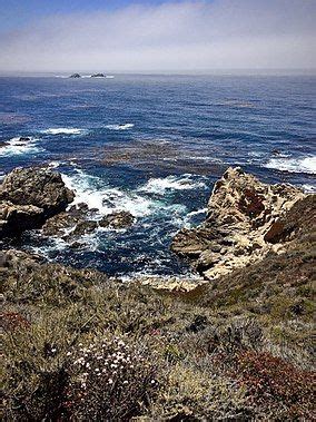 Garrapata State Park | State parks, Park, Outdoor