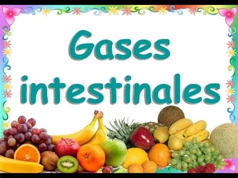Gases Estomacales o Flatulencia: Causas, Síntomas y ...
