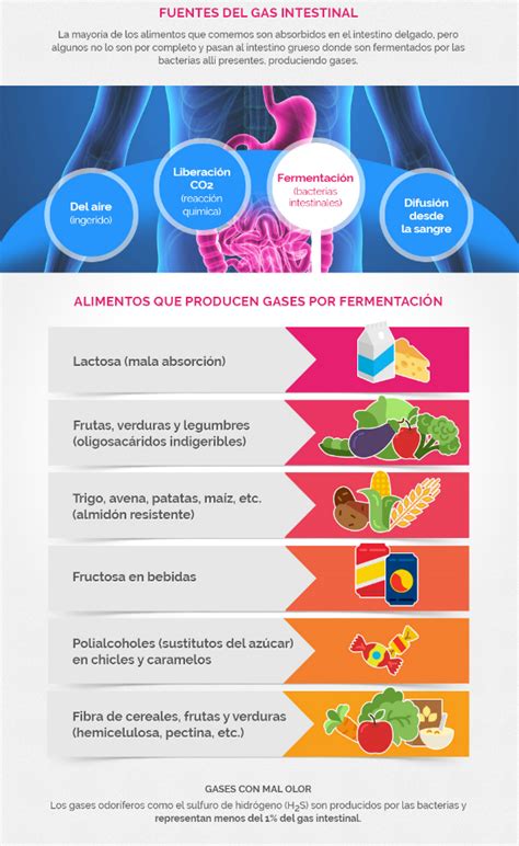 Gases intestinales: como eliminarlos | OCU