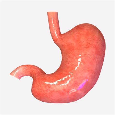 Gastric Cancer Nutrition prior to surgery | Nutrition ...