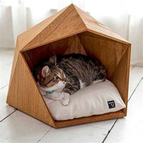 Gatos em casa + Estilo felino e acessórios! | Andrea Velame