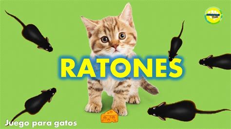 #Gatos   Juego de ratones para gatos   YouTube