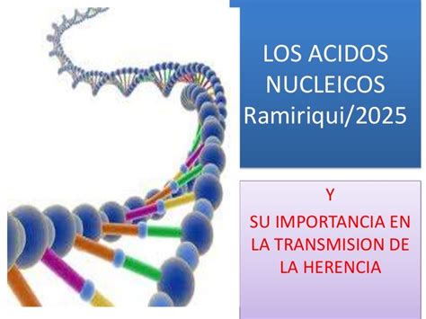 Generalidades de los acidos nucleicos
