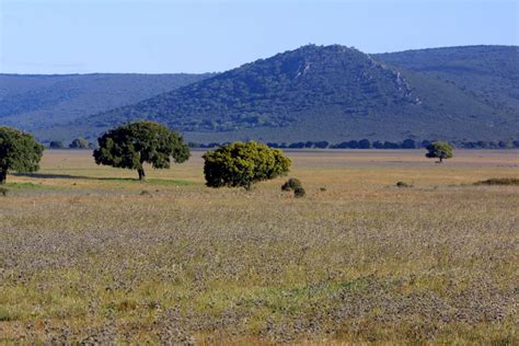 Geografía de España: Los grandes conjuntos naturales españoles