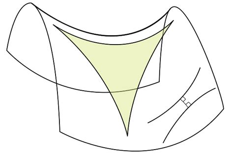 Geometría hiperbólica