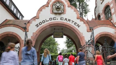 Gesundheit: Zoo Leipzig öffnet nach sechs Monaten Schließzeit wieder ...