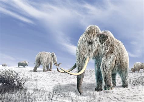 Get a Look at Some Giant Mammals of the Cenozoic Era