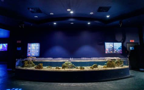 Get Atlantis Aquarium Madrid Tickets ‘2021’ | Exclusive Offers & Deals