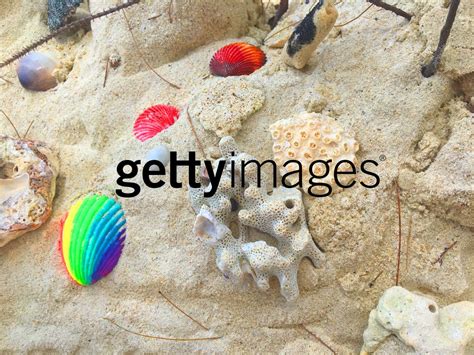 Getty Images Watermerk Verwijderaar Gratis Downloaden