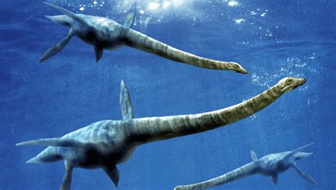 Giant Marine Plesiosaur Discovered by Argentine Scientists ...
