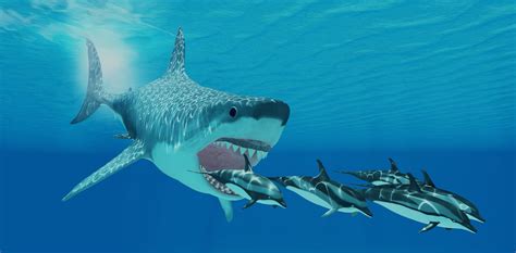 Giant monster Megalodon sharks lurking in our oceans: be ...