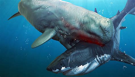 Giant Predatorial Whale: The Leviathan