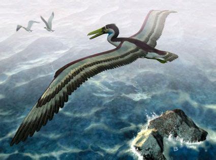 Giant Prehistoric Bird With Teeth Found Near London | Extinct animals ...