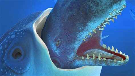 GIANT WHALE SHARK EATS A GIANT WHALE   Feed and Grow Fish ...