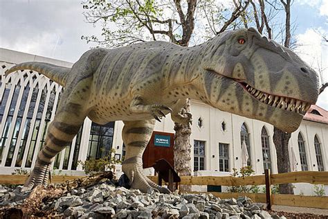 Giganotosaurus | Zoo Leipzig