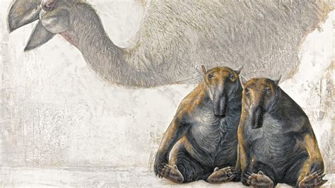 Gigantes extintos: megafauna australiana
