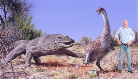 Gigantic Australian bird Genyornis became extinct because of humans ...