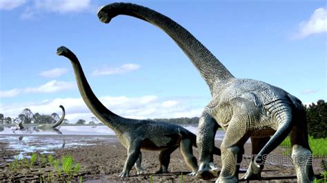 Gigantic New Dinosaur Species Uncovered in Australia   YouTube
