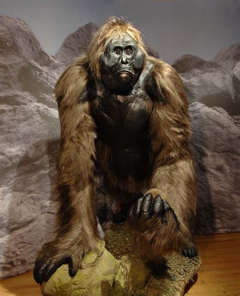 Gigantopithecus Blacki | Extinct animals, Prehistoric animals ...
