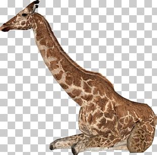 giraffas logo clipart 10 free Cliparts | Download images ...