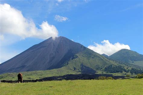 Global Volcanism Program | Report on Pacaya  Guatemala ...